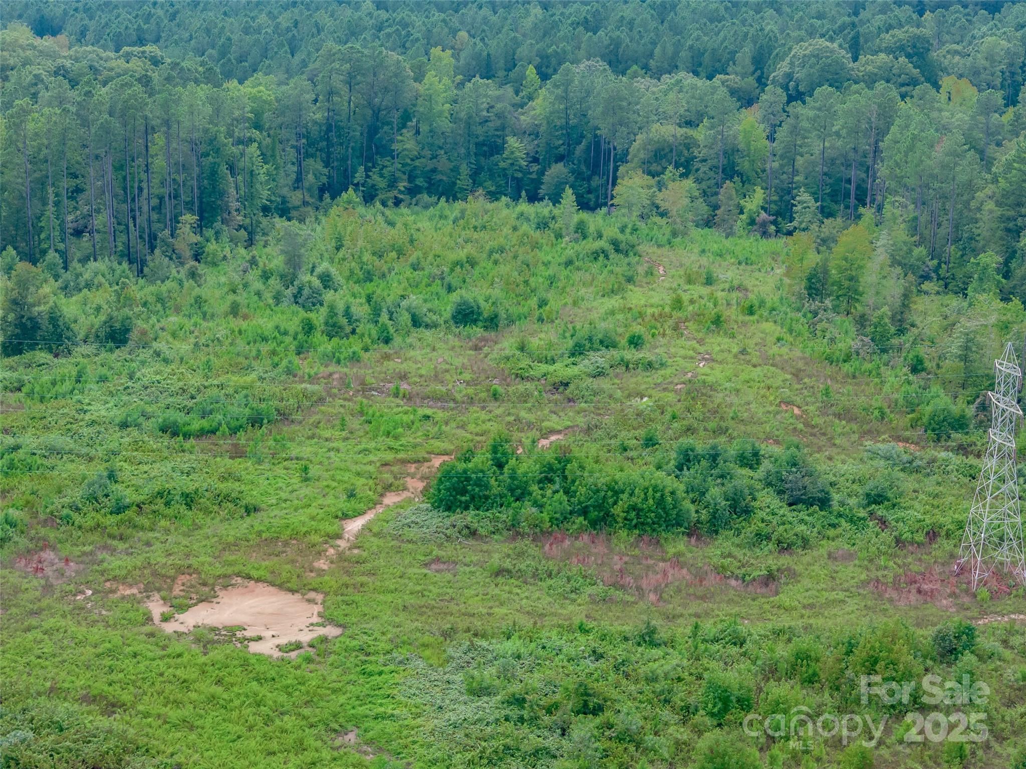 0 Knopf Drive Great Falls, SC 29055 - Photo 24 of 28 a view of a lush green forest
