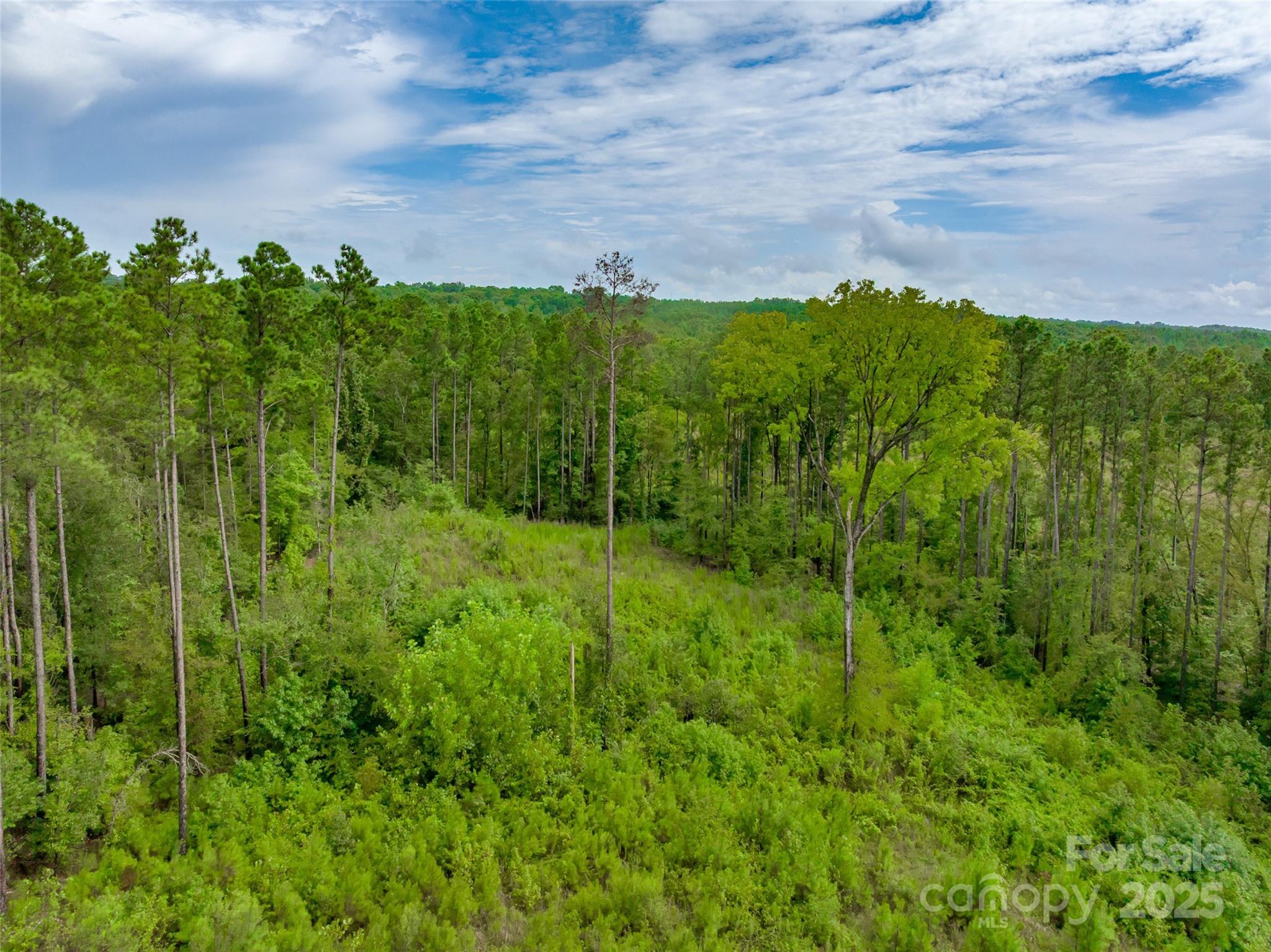0 Knopf Drive Great Falls, SC 29055 - Photo 28 of 28 a view of a big yard with plants and a tree