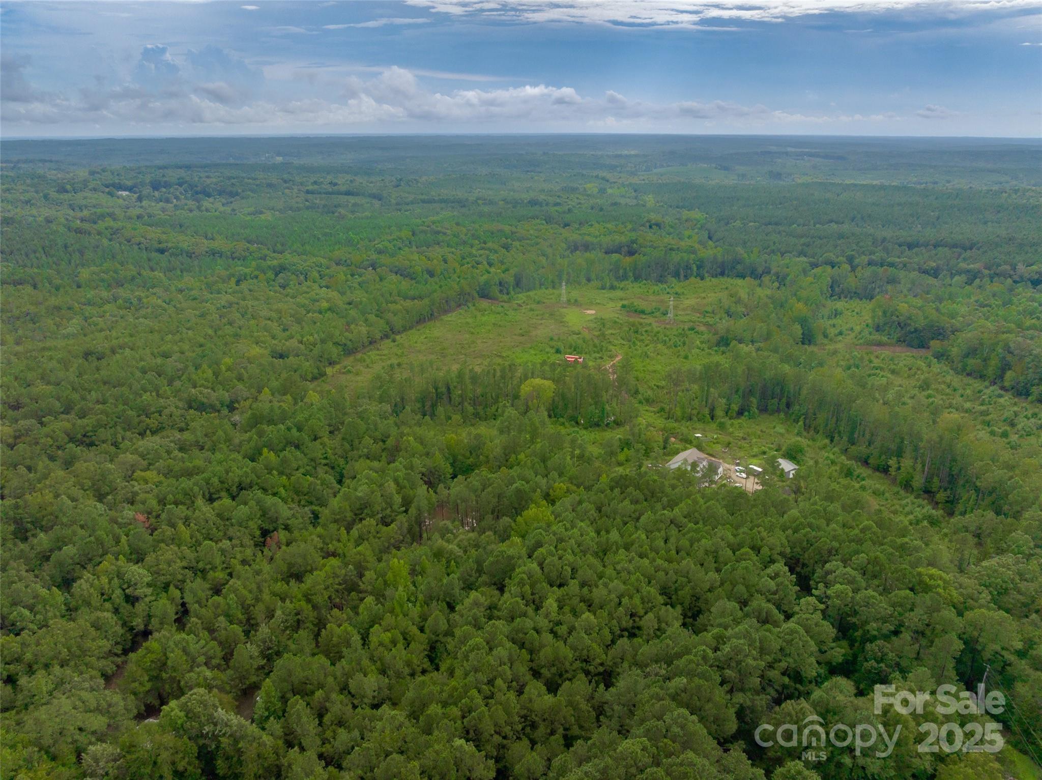0 Knopf Drive Great Falls, SC 29055 - Photo 8 of 28 a view of a big yard with lots of green space and deers
