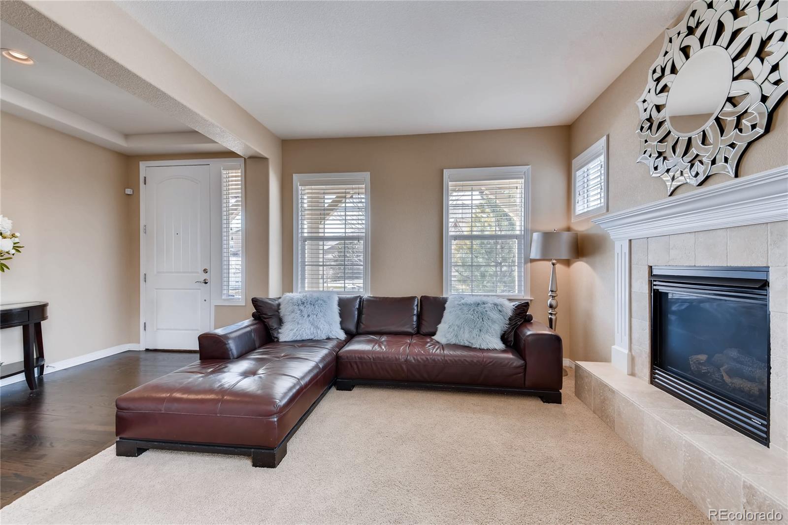 10414 Willowwisp Way Highlands Ranch, CO 80126 - Photo 5 of 35 Gallery Image 5