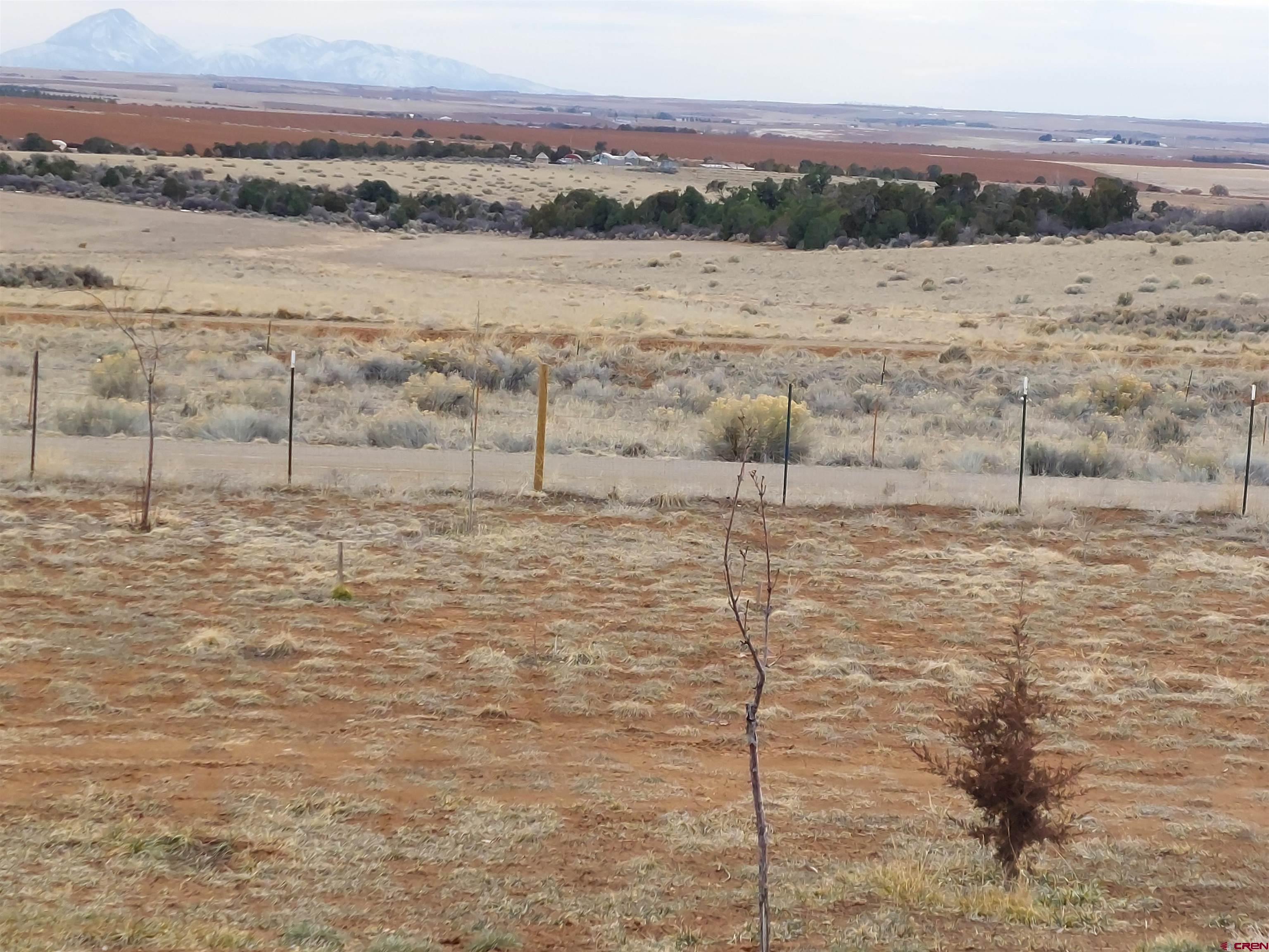 14663 Road N 3 Cahone Co 81320 Cahone, CO 81320 - Photo 17 of 20 a view of lake view and mountain