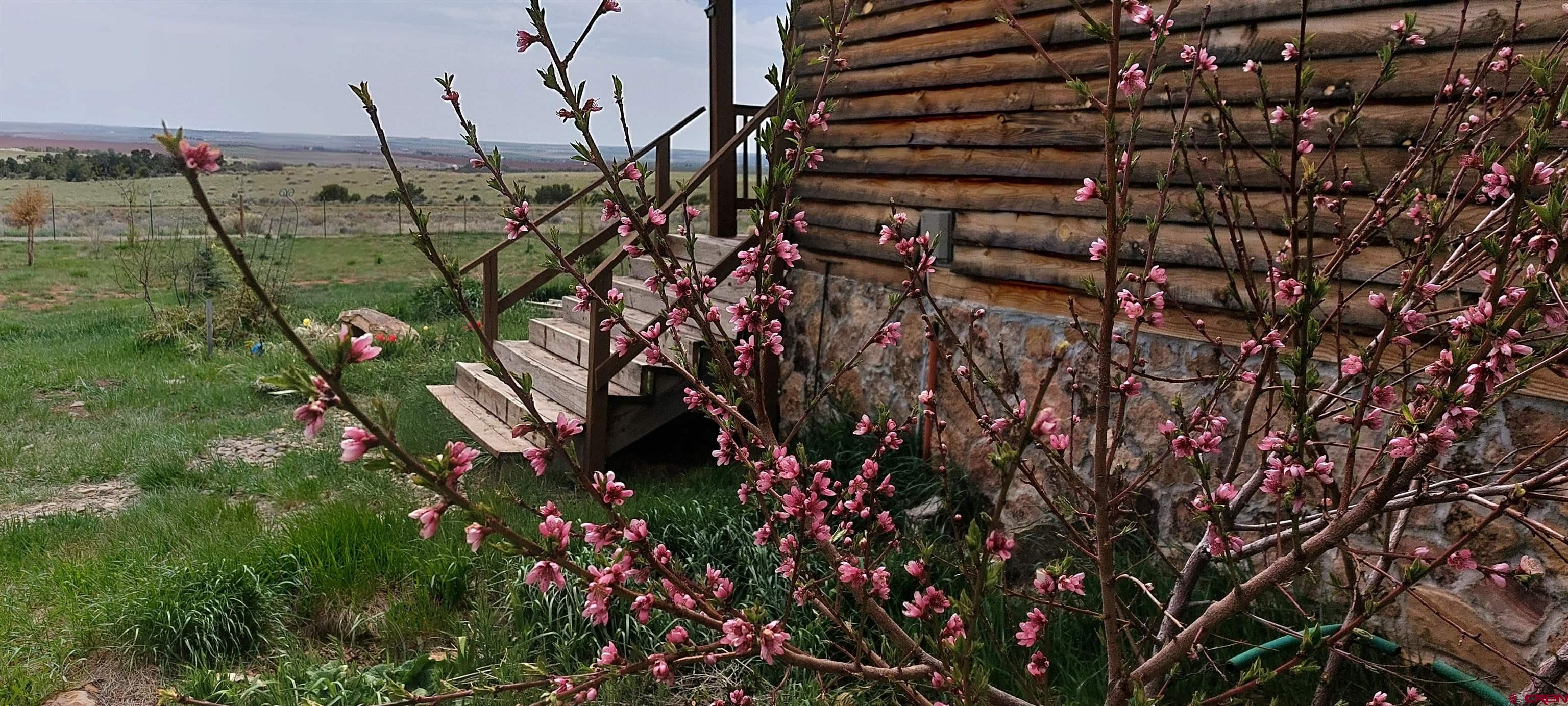 14663 Road N 3 Cahone Co 81320 Cahone, CO 81320 - Photo 19 of 20 a view of a wooden building