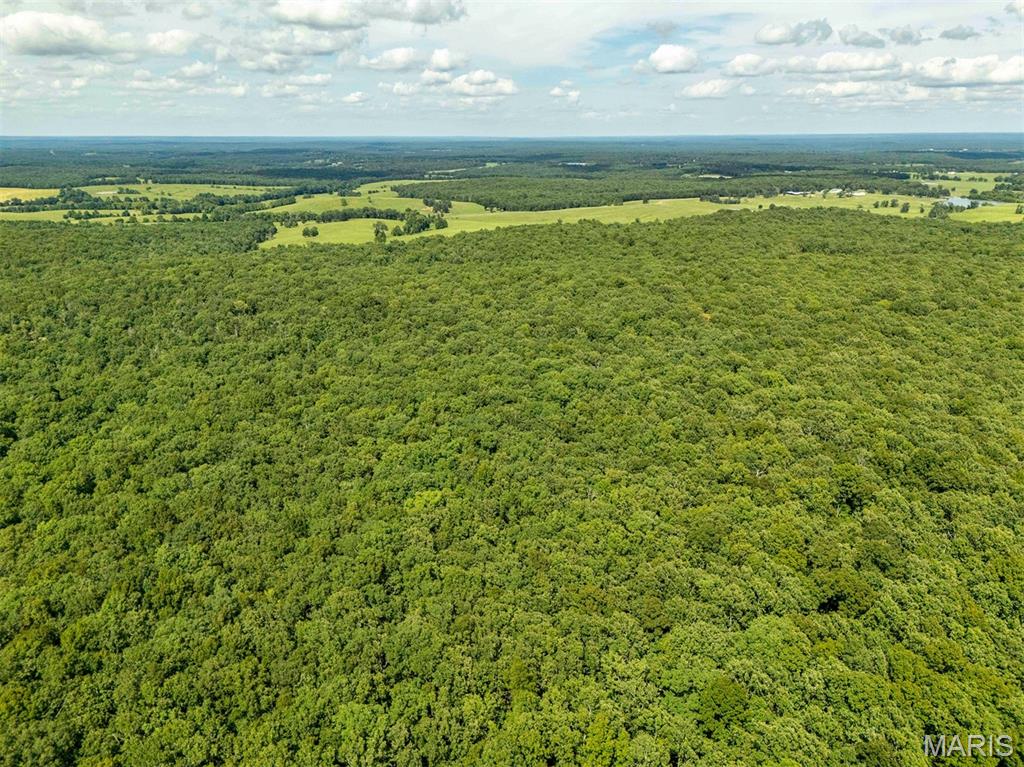 0 Fire Tower Road Steelville, MO 65565 - Photo 12 of 28 Gallery Image 12