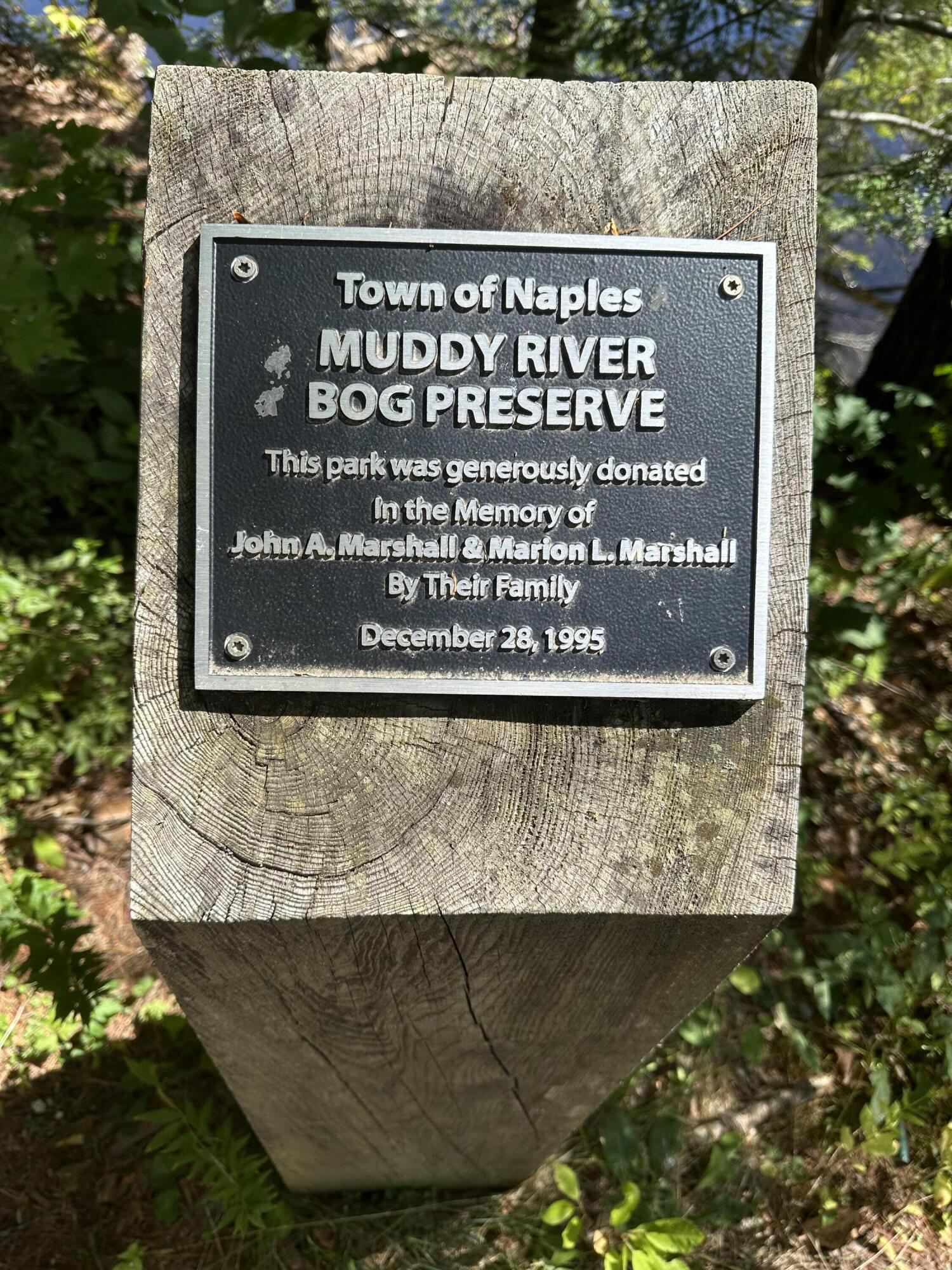 8 Lake House Road Naples, ME 04055 - Photo 20 of 34 Muddy River Preserve