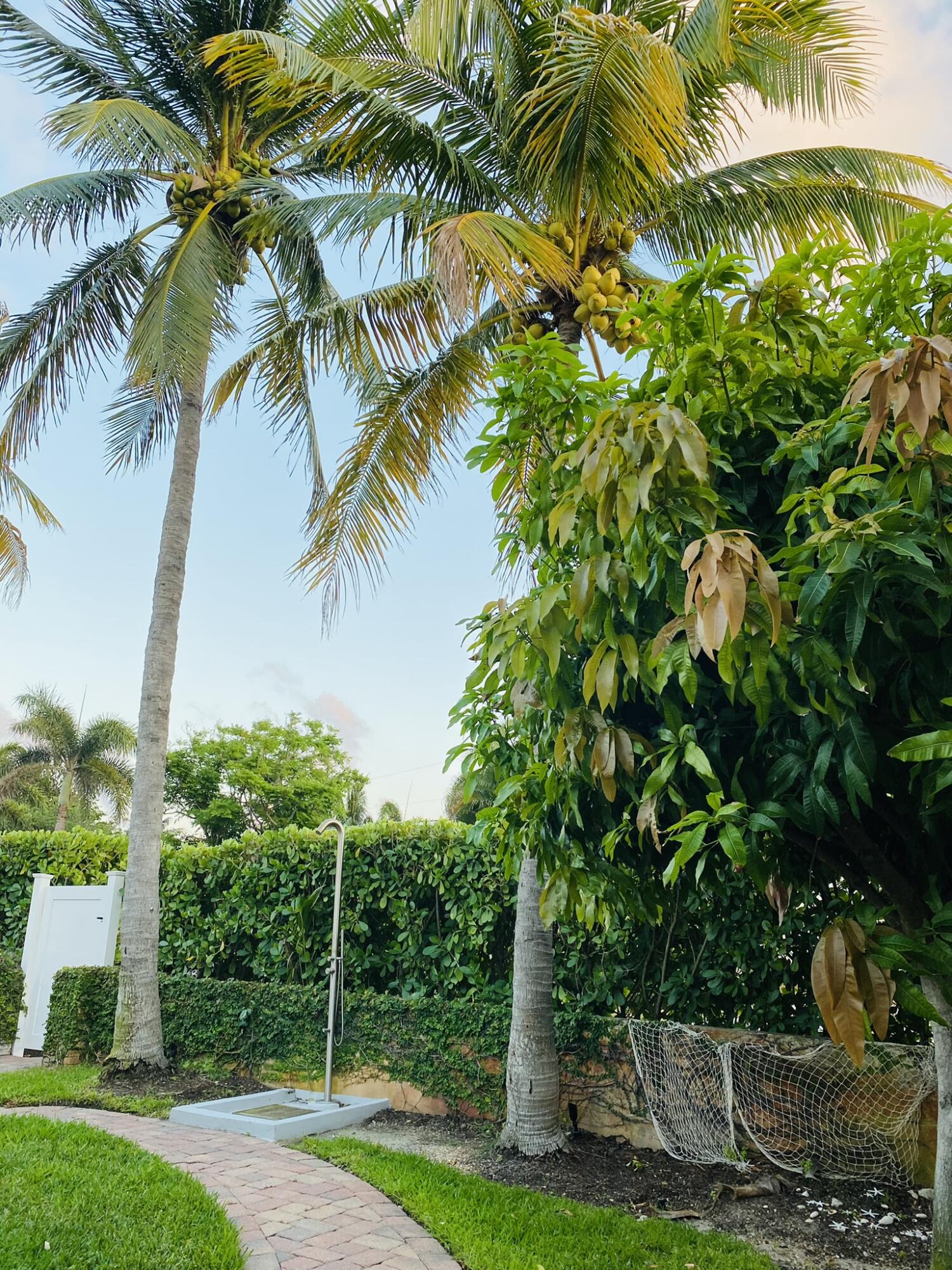 5501 North Ocean Boulevard Ocean Ridge, FL 33435 - Photo 19 of 21 a view of a yard with palm trees