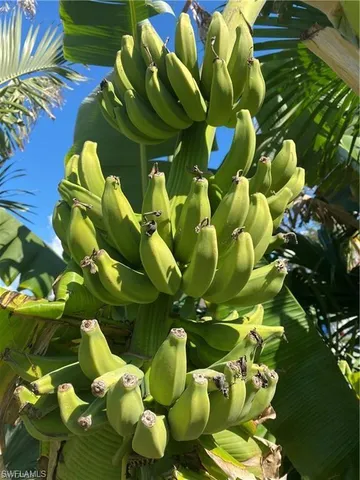 $675,000 | 119 Flame Vine Drive, Naples, FL 34110