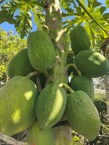 $675,000 | 119 Flame Vine Drive, Naples, FL 34110