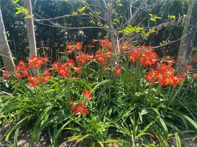 $675,000 | 119 Flame Vine Drive, Naples, FL 34110