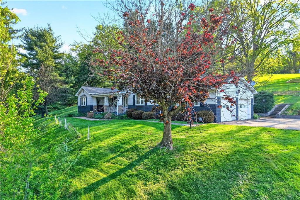1188 Willowbrook Road Belle Vernon, PA 15012 - Photo 15 of 50 a view of a house with backyard and trees