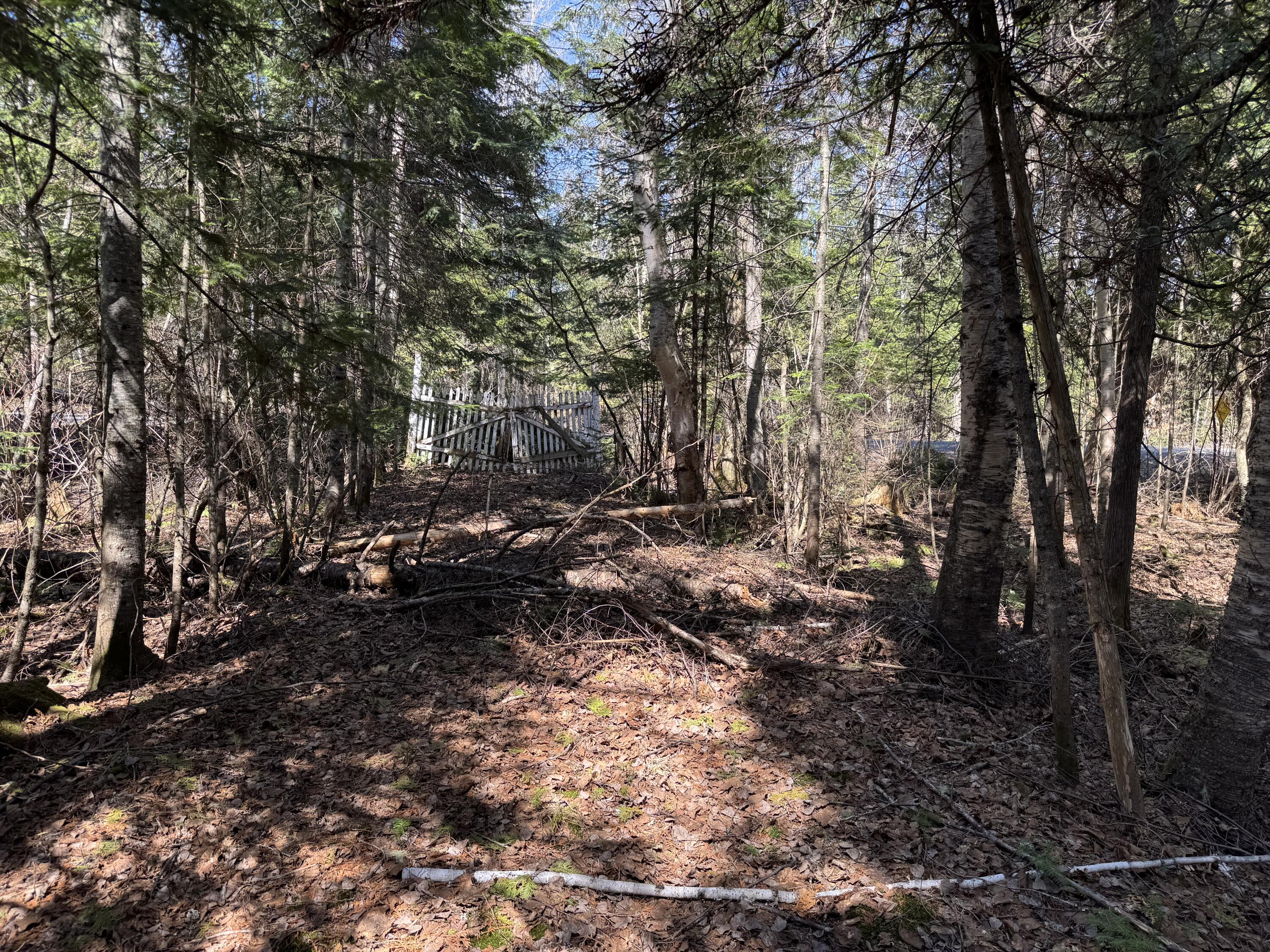 203 Baie Creuse Road St. David, ME 04773 - Photo 10 of 59 IMG_8610