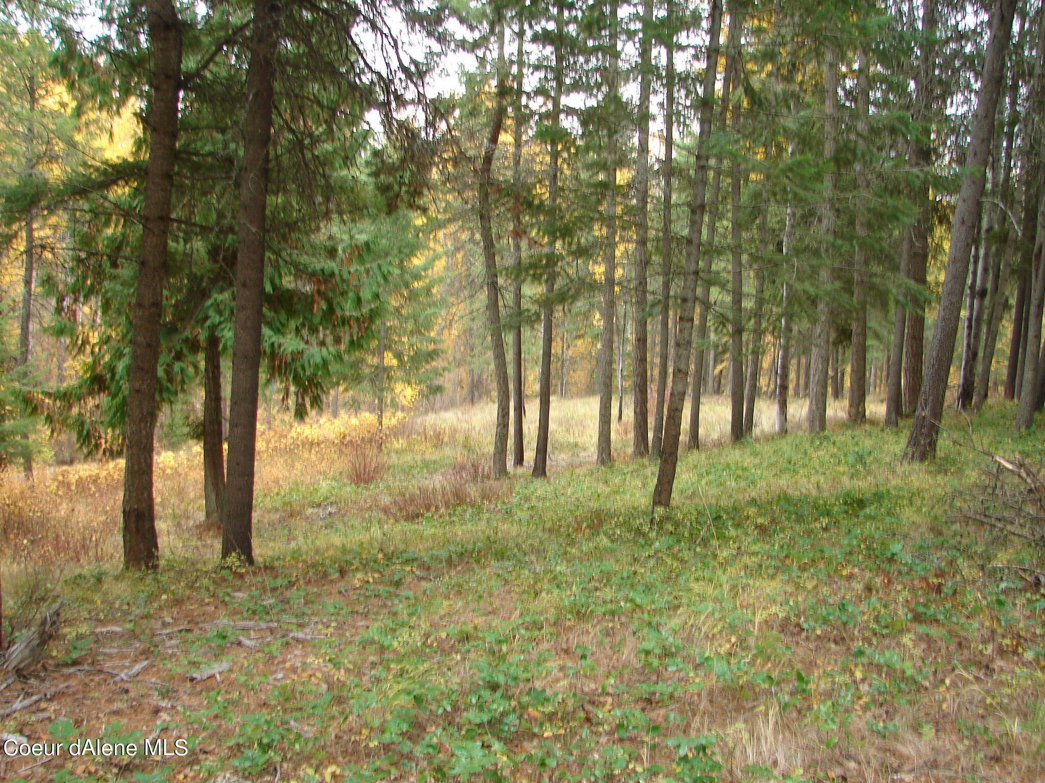 Nna Meadow Creek Road Bonners Ferry, ID 83805 - Photo 1 of 1 1.30 Acres Vacant Land