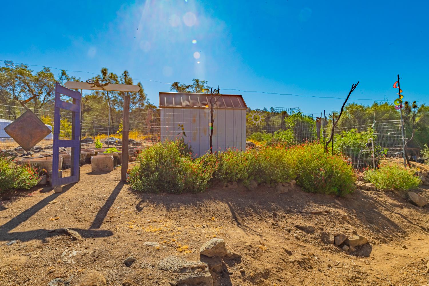 43629 Ranger Cir Drive Coarsegold, CA 93614 - Photo 41 of 53