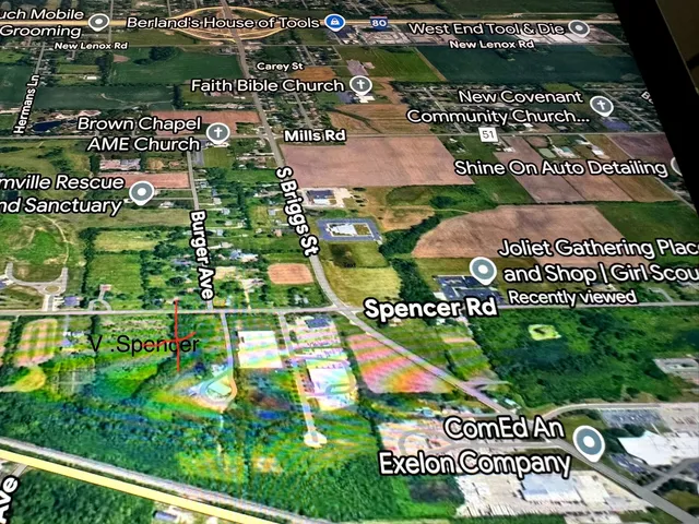 a view of a yard with plants