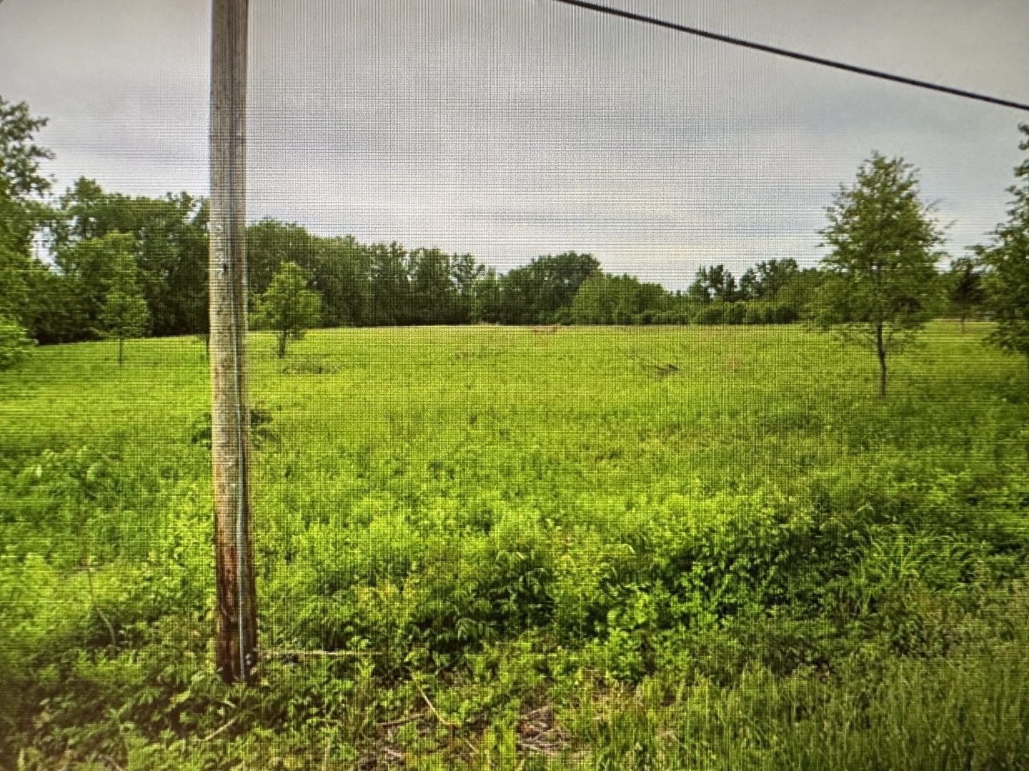 Vacant Spencer Road Joliet, IL 60433 - Photo 7 of 7 a view of a field with a tree in the background