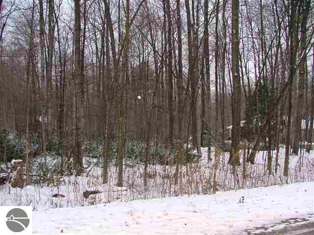 0 South Manor Drive Cedar, MI 49621 - Photo 4 of 4 1698573-3.JPG
