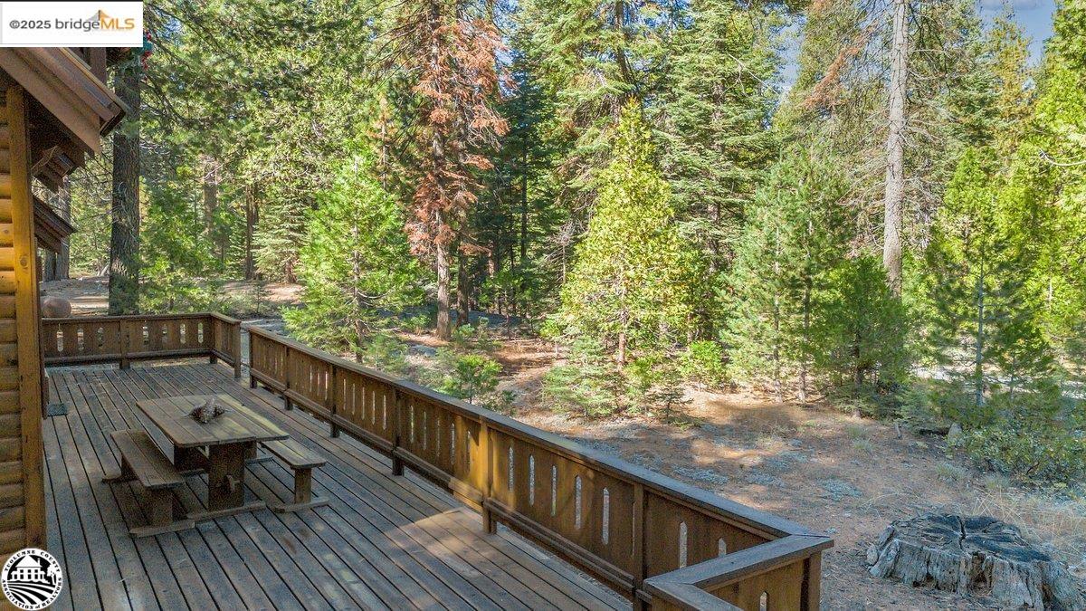 264 Sugarpine Pinecrest, CA 95364 - Photo 40 of 45
