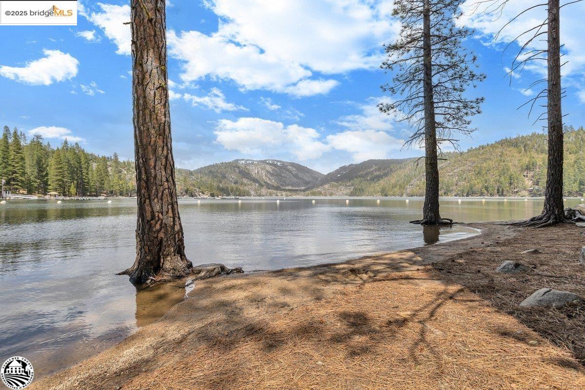 264 Sugarpine Pinecrest, CA 95364 - Photo 43 of 45