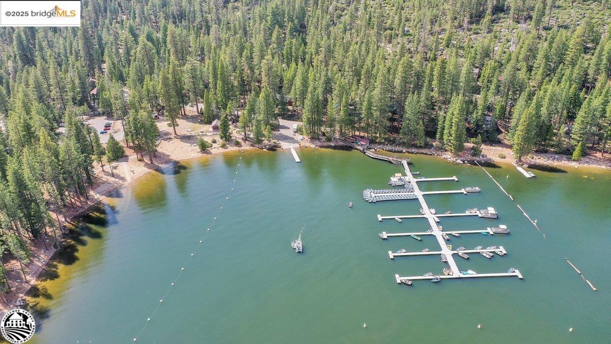 264 Sugarpine Pinecrest, CA 95364 - Photo 45 of 45