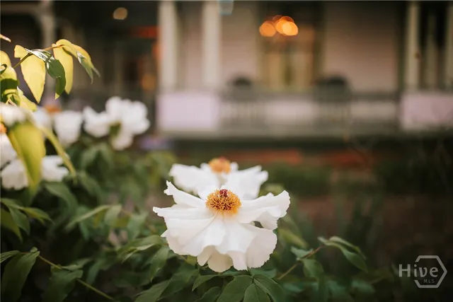 $599,900 | 229 North Woodlawn Drive, Crawford, GA 30630