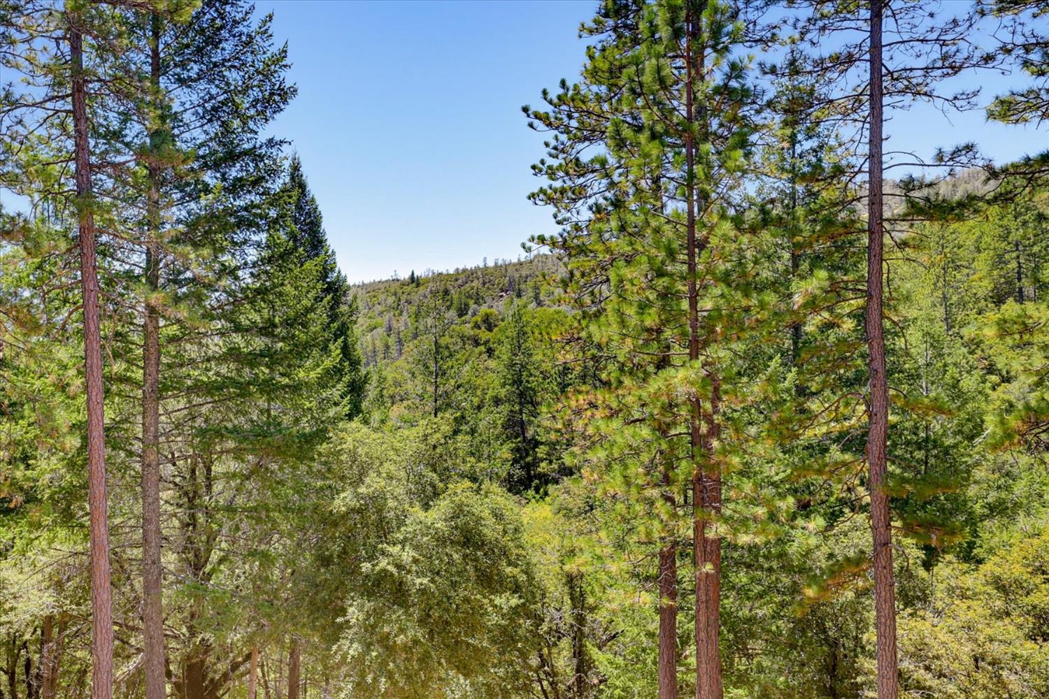 16300 Kiwi Road Grass Valley, CA 95949 - Photo 67 of 88 Gallery Image 67