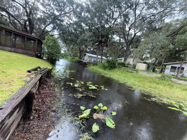 a view of a garden with lawn chairs under an umbrella