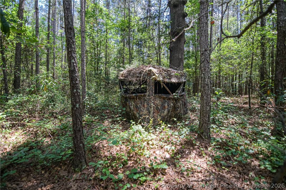 21181 Traders Road Laurel Hill, NC 28351 - Photo 43 of 50 Gallery Image 43