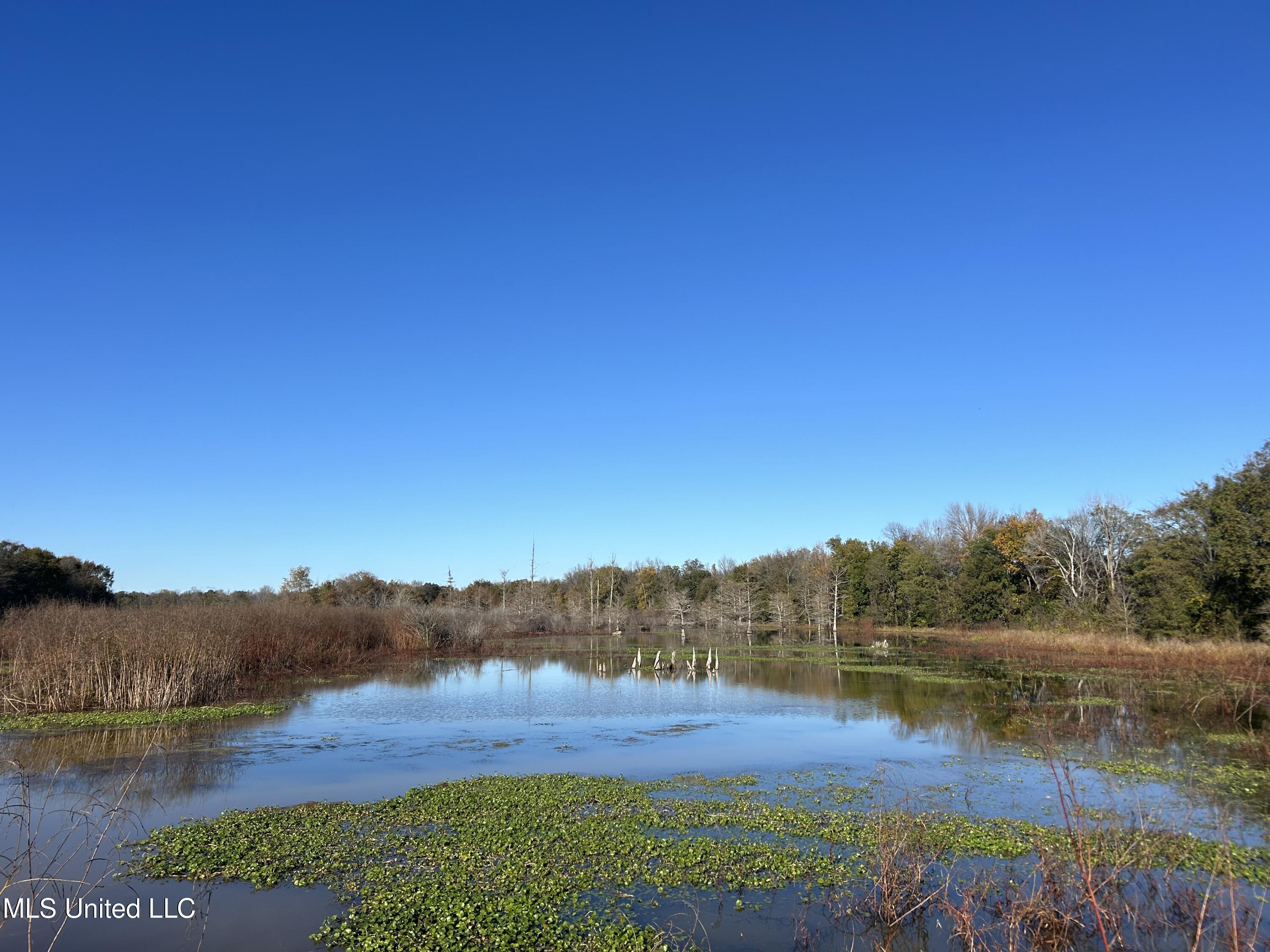West Mound Bayou Road Mound Bayou, MS 38762 - Photo 16 of 56 16