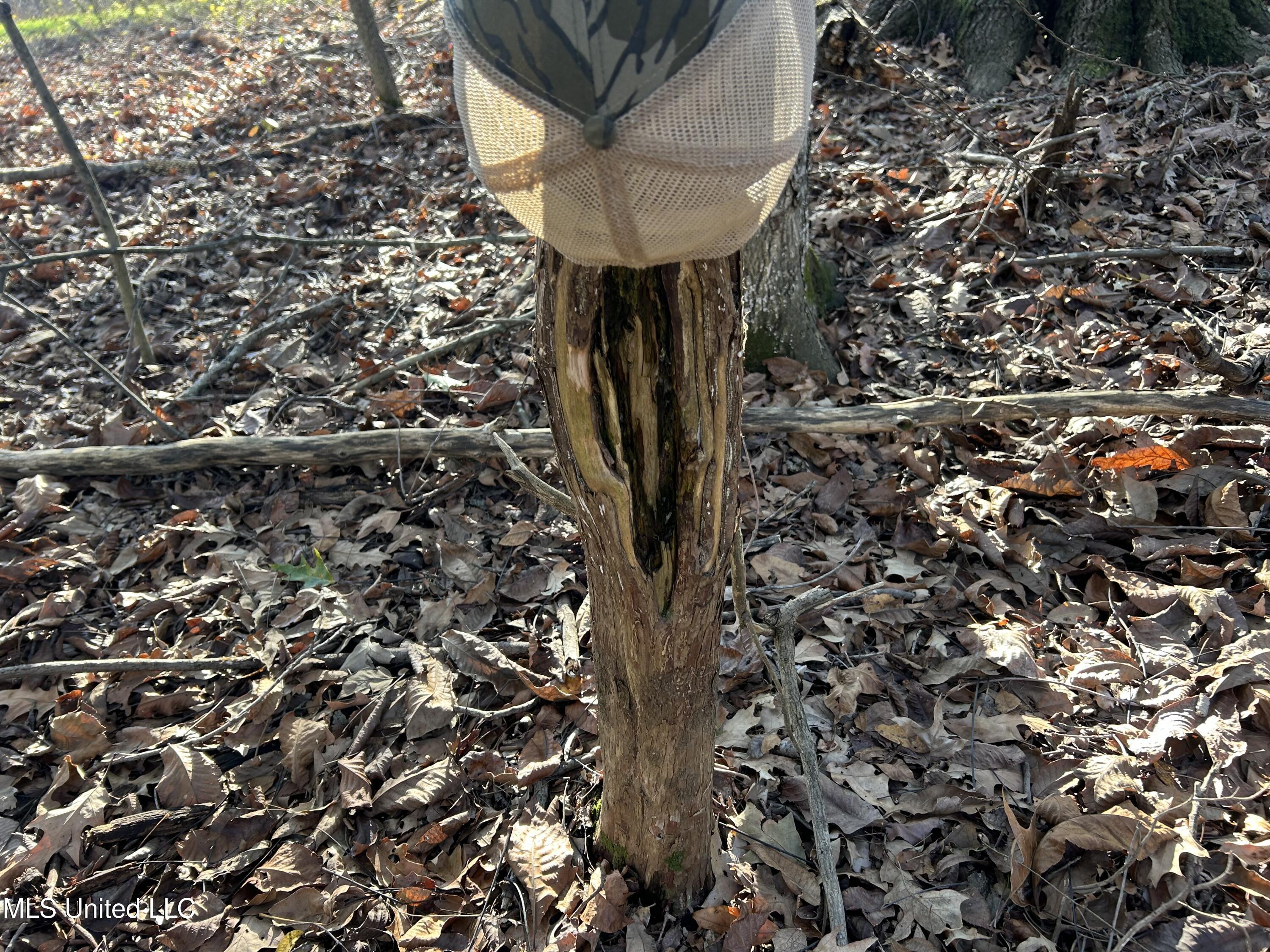 West Mound Bayou Road Mound Bayou, MS 38762 - Photo 18 of 56 18