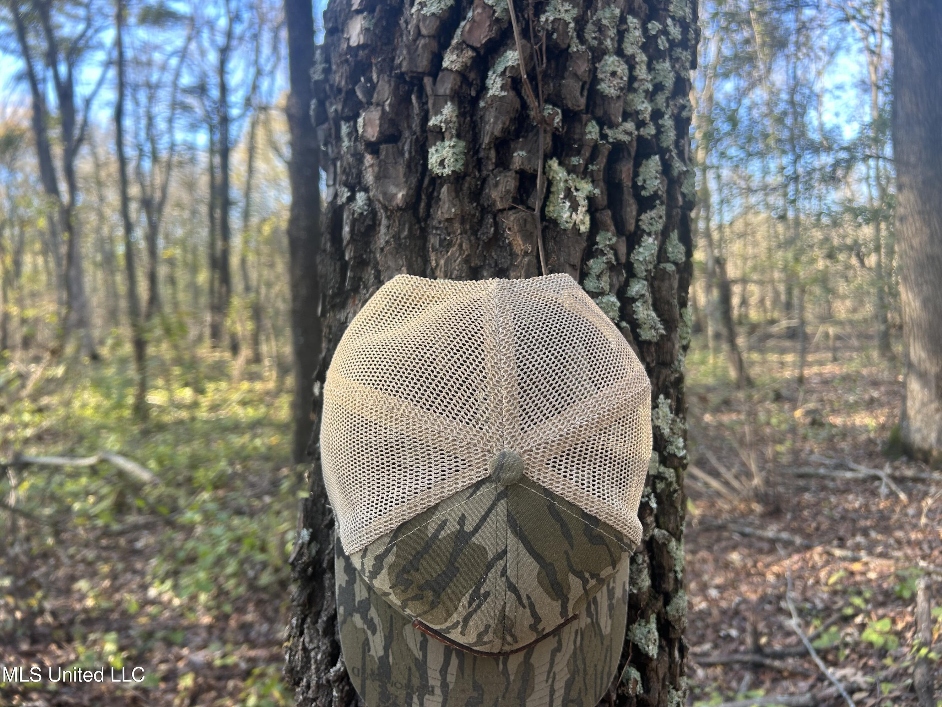 West Mound Bayou Road Mound Bayou, MS 38762 - Photo 29 of 56 32