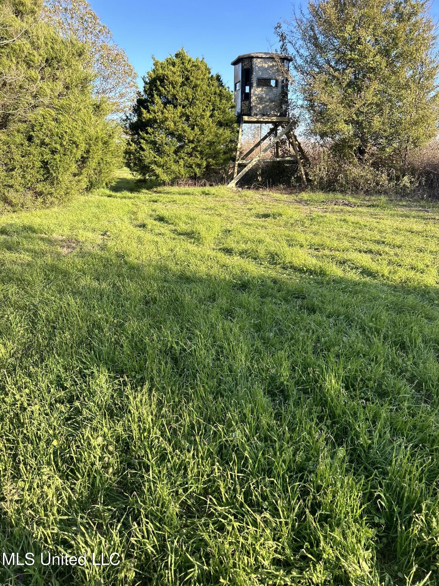 West Mound Bayou Road Mound Bayou, MS 38762 - Photo 3 of 56 3