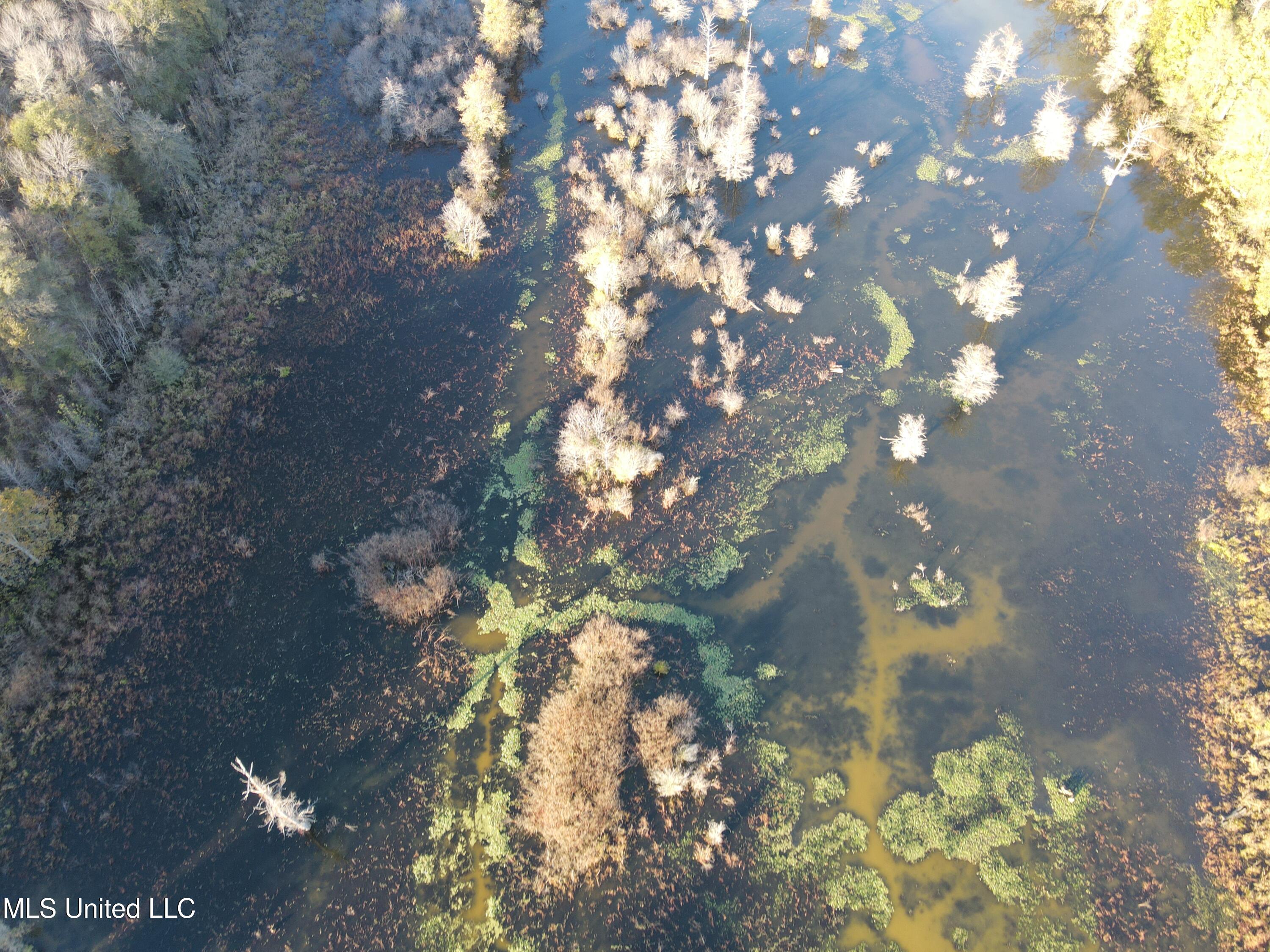 West Mound Bayou Road Mound Bayou, MS 38762 - Photo 36 of 56 Photo Nov 19 2024, 3 59 57 PM