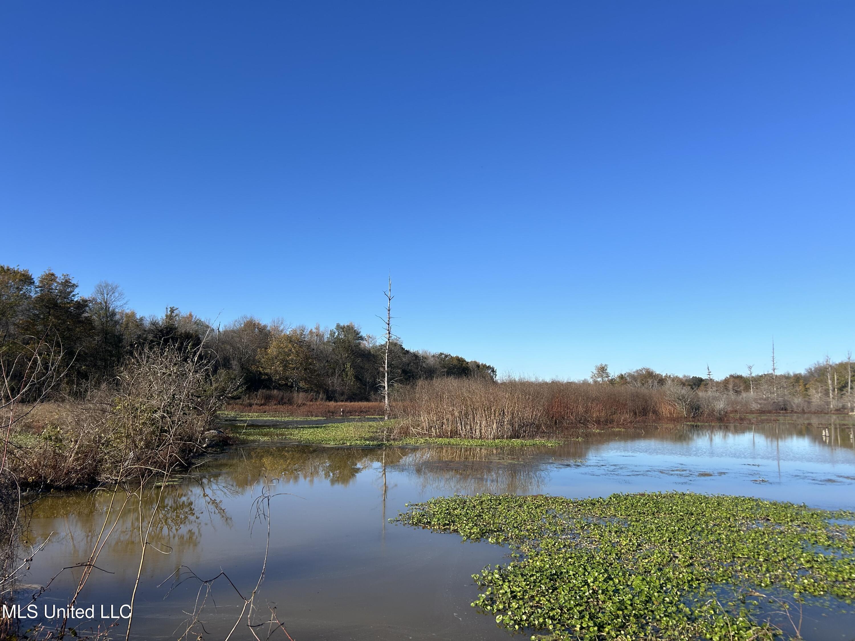 West Mound Bayou Road Mound Bayou, MS 38762 - Photo 4 of 56 3