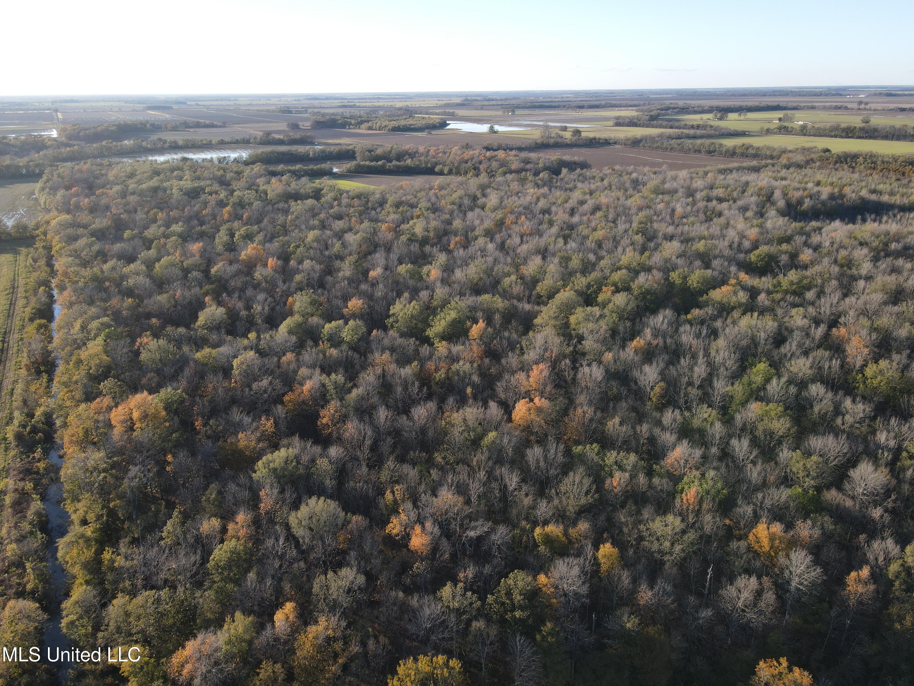West Mound Bayou Road Mound Bayou, MS 38762 - Photo 42 of 56 Photo Nov 19 2024, 4 00 44 PM