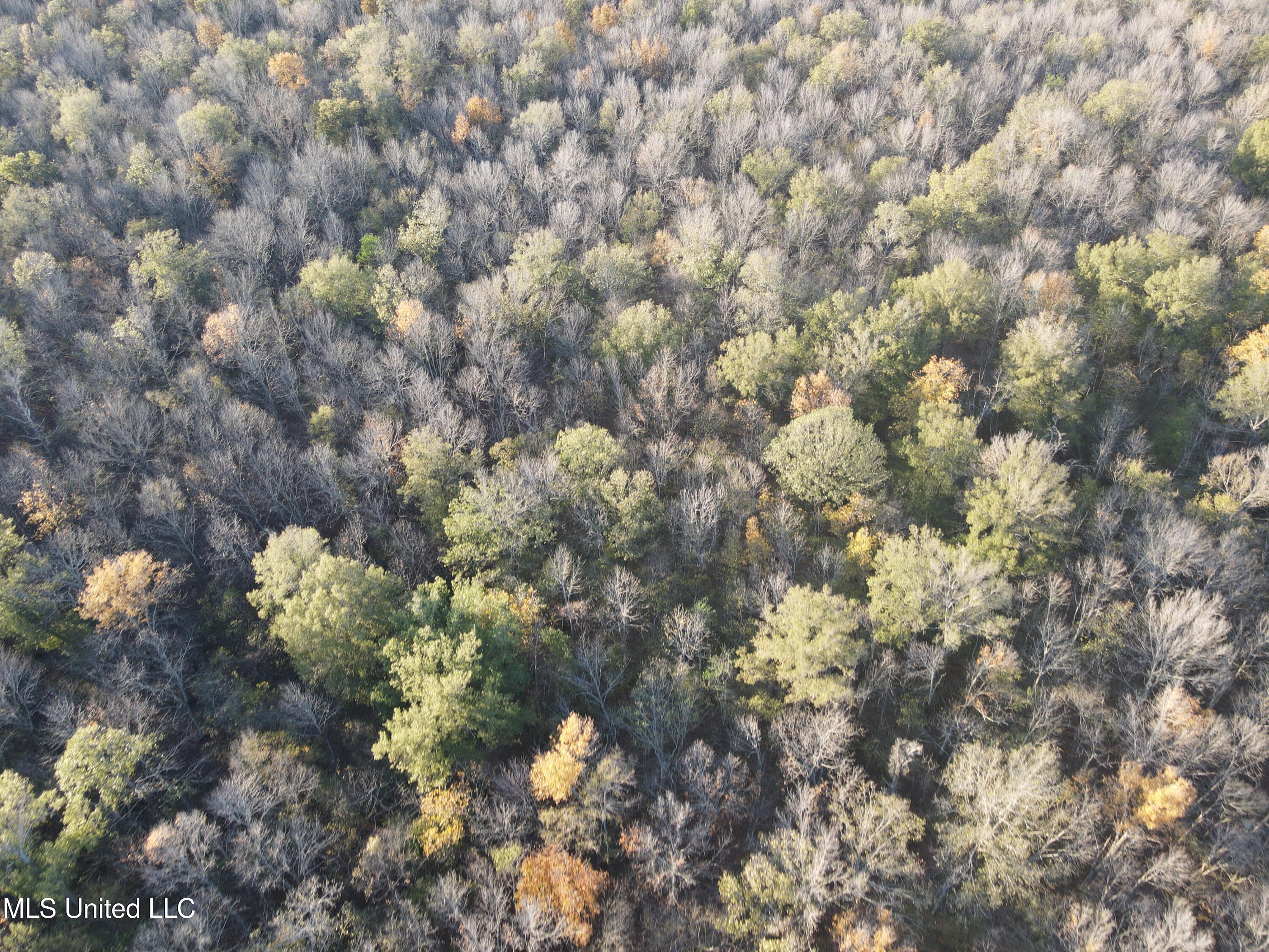 West Mound Bayou Road Mound Bayou, MS 38762 - Photo 43 of 56 Photo Nov 19 2024, 4 01 00 PM