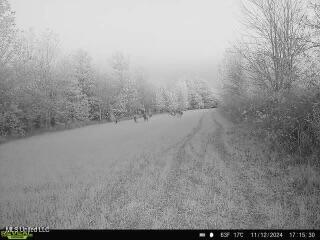 West Mound Bayou Road Mound Bayou, MS 38762 - Photo 49 of 56 864049056345558-100-4-11122024171530-V-W