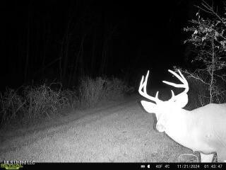 West Mound Bayou Road Mound Bayou, MS 38762 - Photo 51 of 56 868032063264208-30-4-11212024014346-V-W1