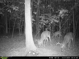 West Mound Bayou Road Mound Bayou, MS 38762 - Photo 53 of 56 868032063569820-100-3-10212024065106-W10