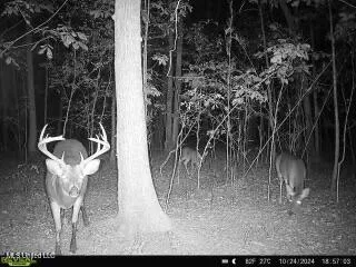 $862,730 | West Mound Bayou Road, Mound Bayou, MS 38762