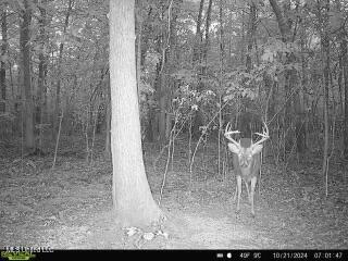 West Mound Bayou Road Mound Bayou, MS 38762 - Photo 55 of 56 868032063569820-100-4-10212024070146-W10