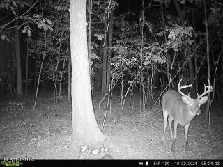 West Mound Bayou Road Mound Bayou, MS 38762 - Photo 56 of 56 868032063569820-100-4-10222024052414-W10