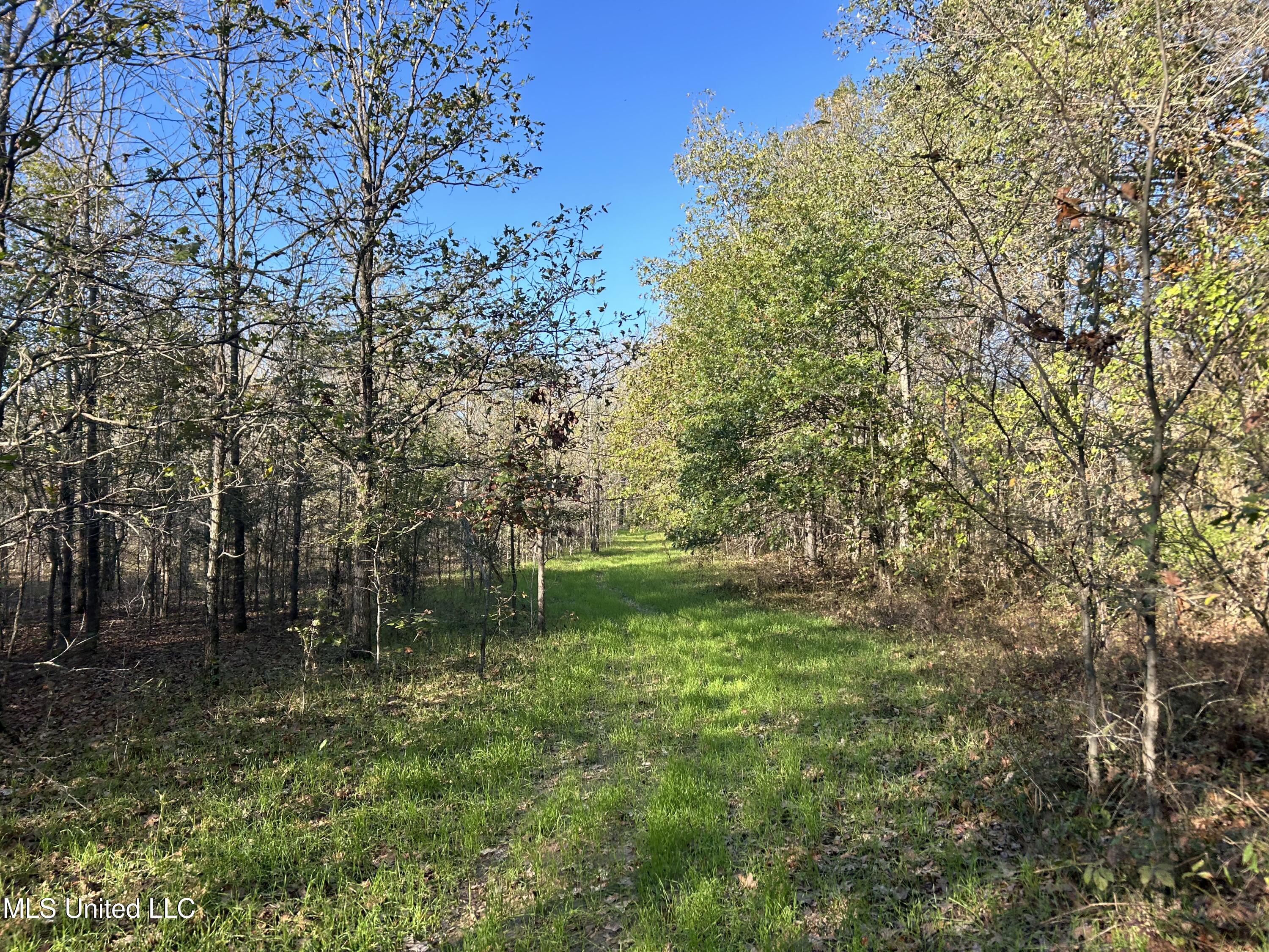 West Mound Bayou Road Mound Bayou, MS 38762 - Photo 7 of 56 6