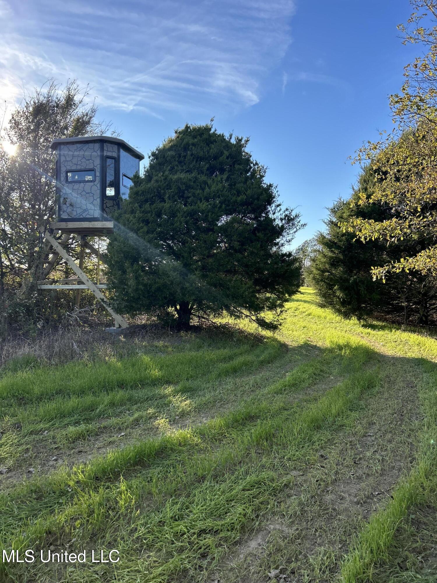 West Mound Bayou Road Mound Bayou, MS 38762 - Photo 8 of 56 7