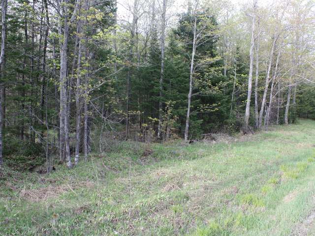 On Boot Lake Road Phelps, WI 54554 - Photo 1 of 7 Gallery Image 1