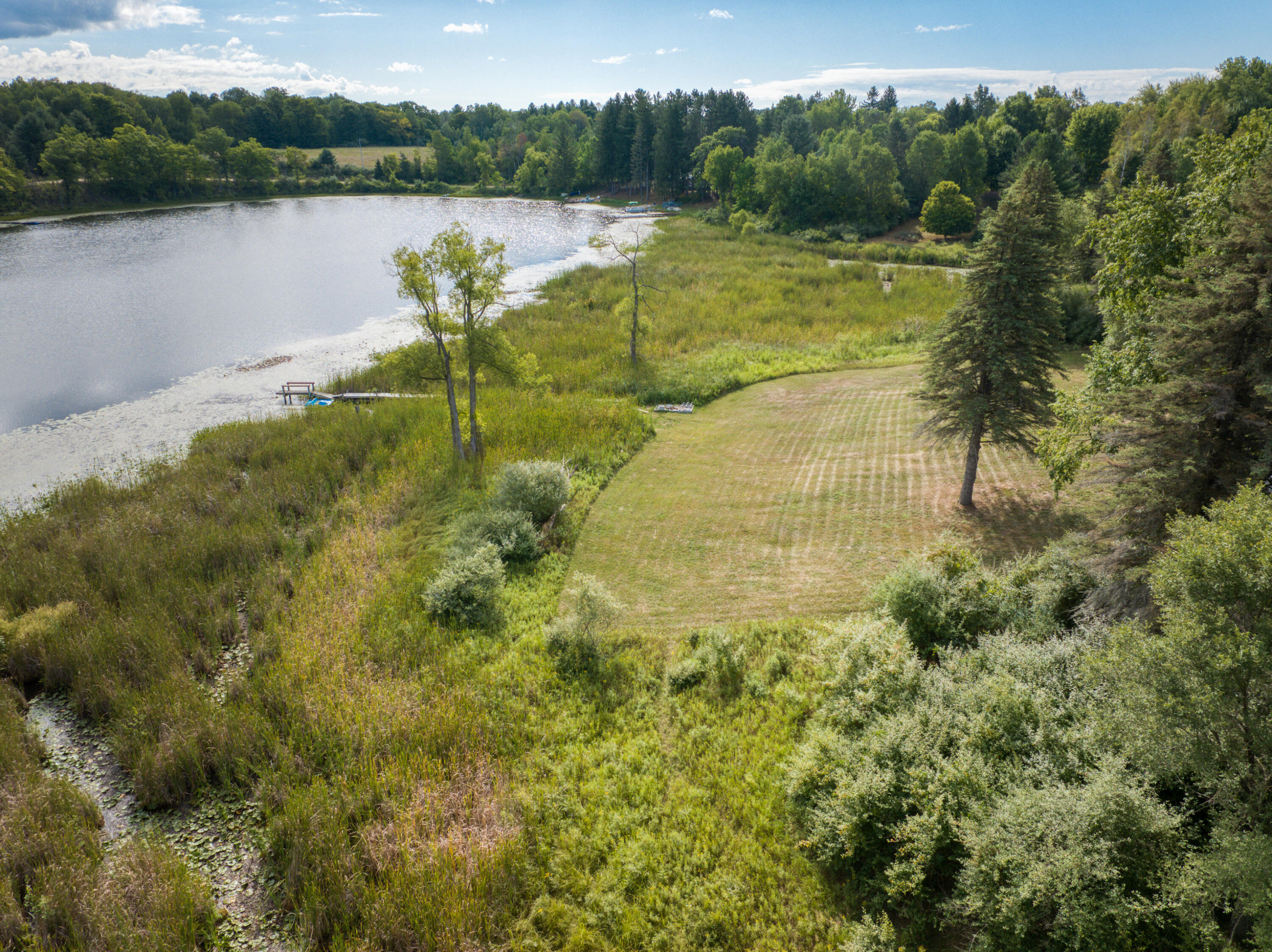 22390 Ridge Road Barryton, MI 49305 - Photo 9 of 20 DJI_20250809001754_0513_D_11