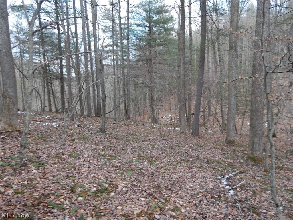 2501 Rolling River Road Cairo, WV 26337 - Photo 7 of 11