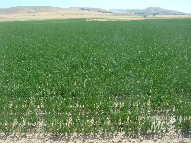 $650,000 | Tbd Indianhead Road, Weiser, ID 83672