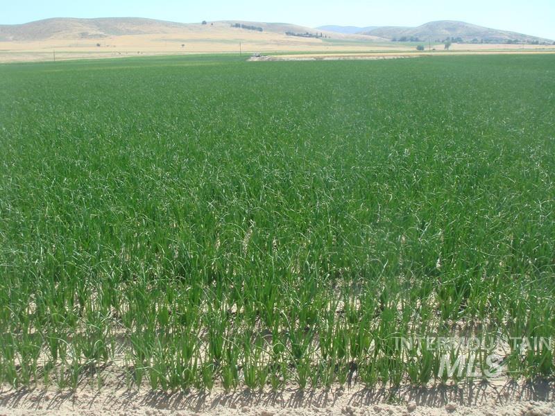 Tbd Indianhead Road Weiser, ID 83672 - Photo 3 of 23