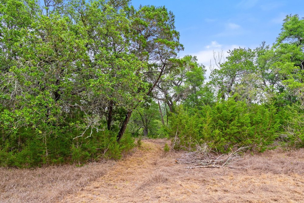 1850 Pursley Road Dripping Springs, TX 78620 - Photo 11 of 32
