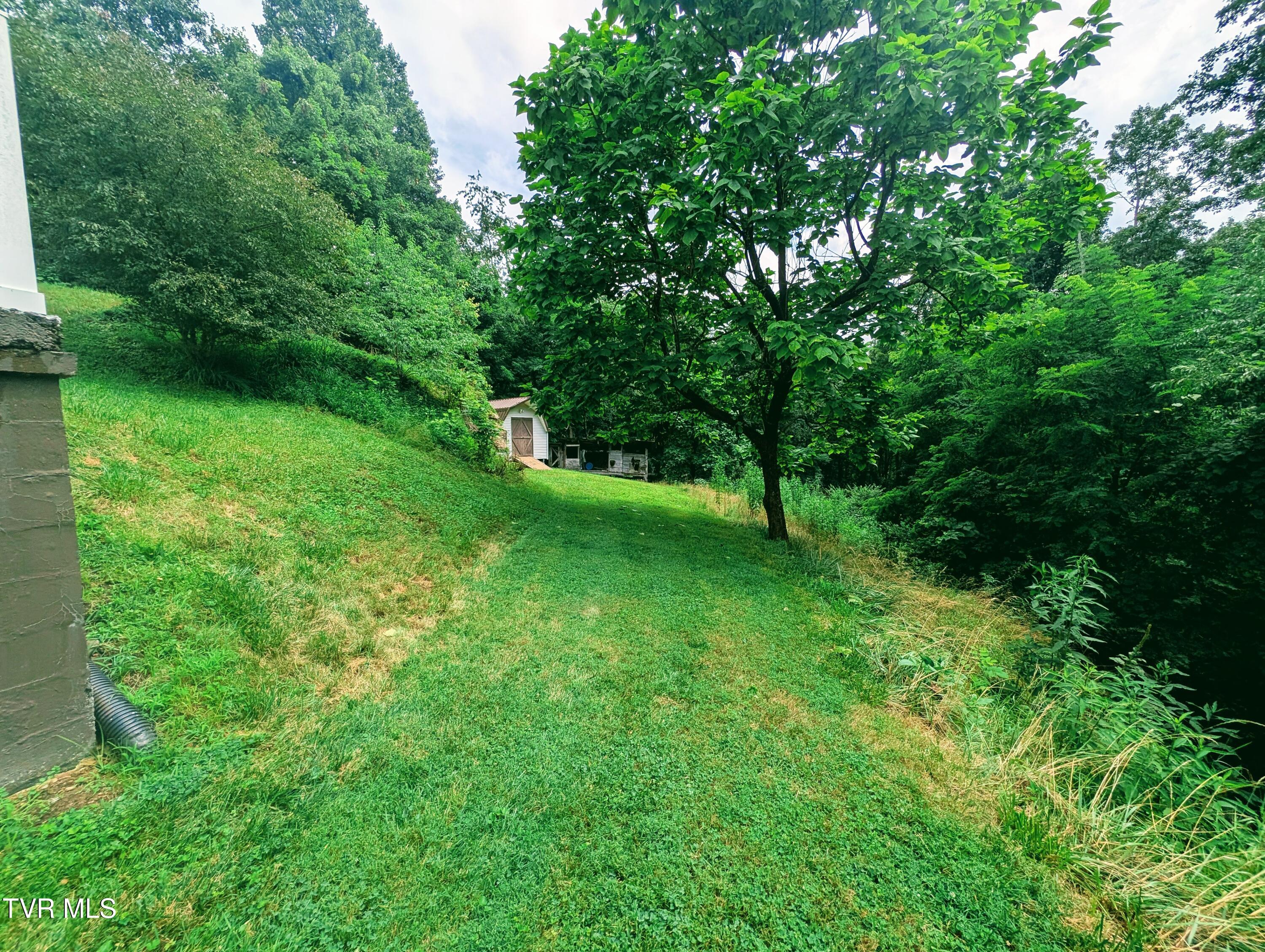 2005 DC Caney Ridge Road Clintwood, VA 24228 - Photo 5 of 28 1000014344