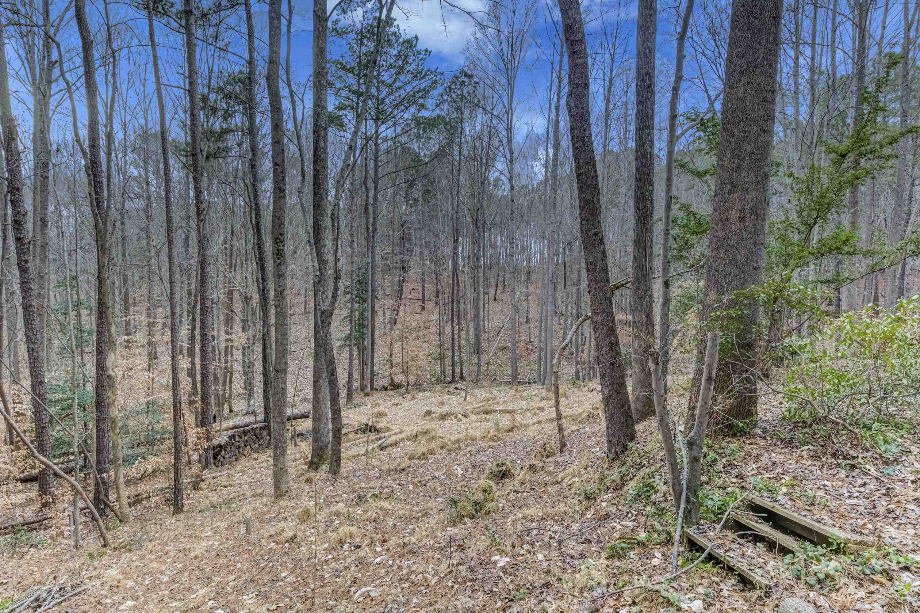 6905 Choplin Road Wake Forest, NC 27587 - Photo 36 of 38 Photo 37